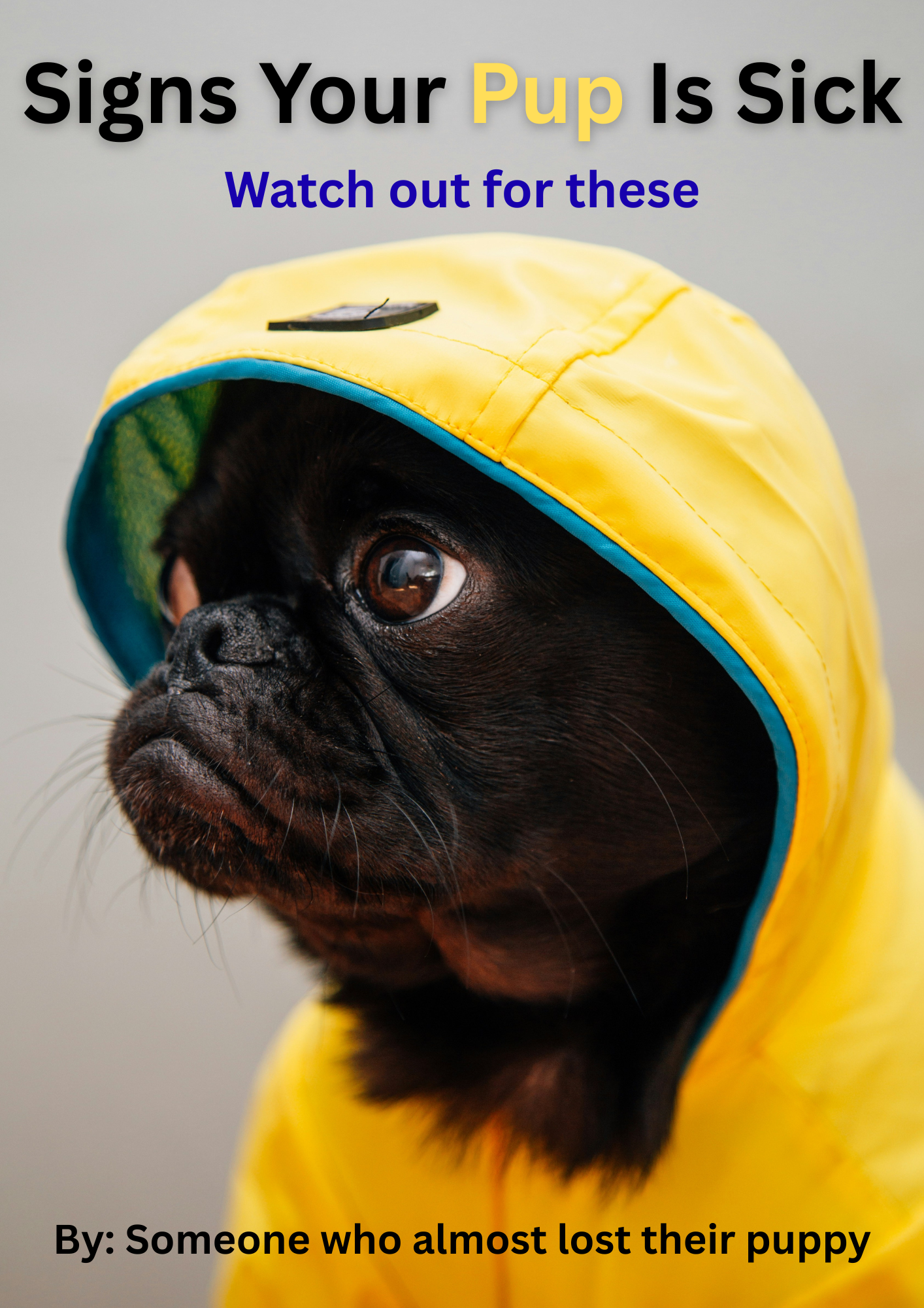 Signs Your Dog Is Sick