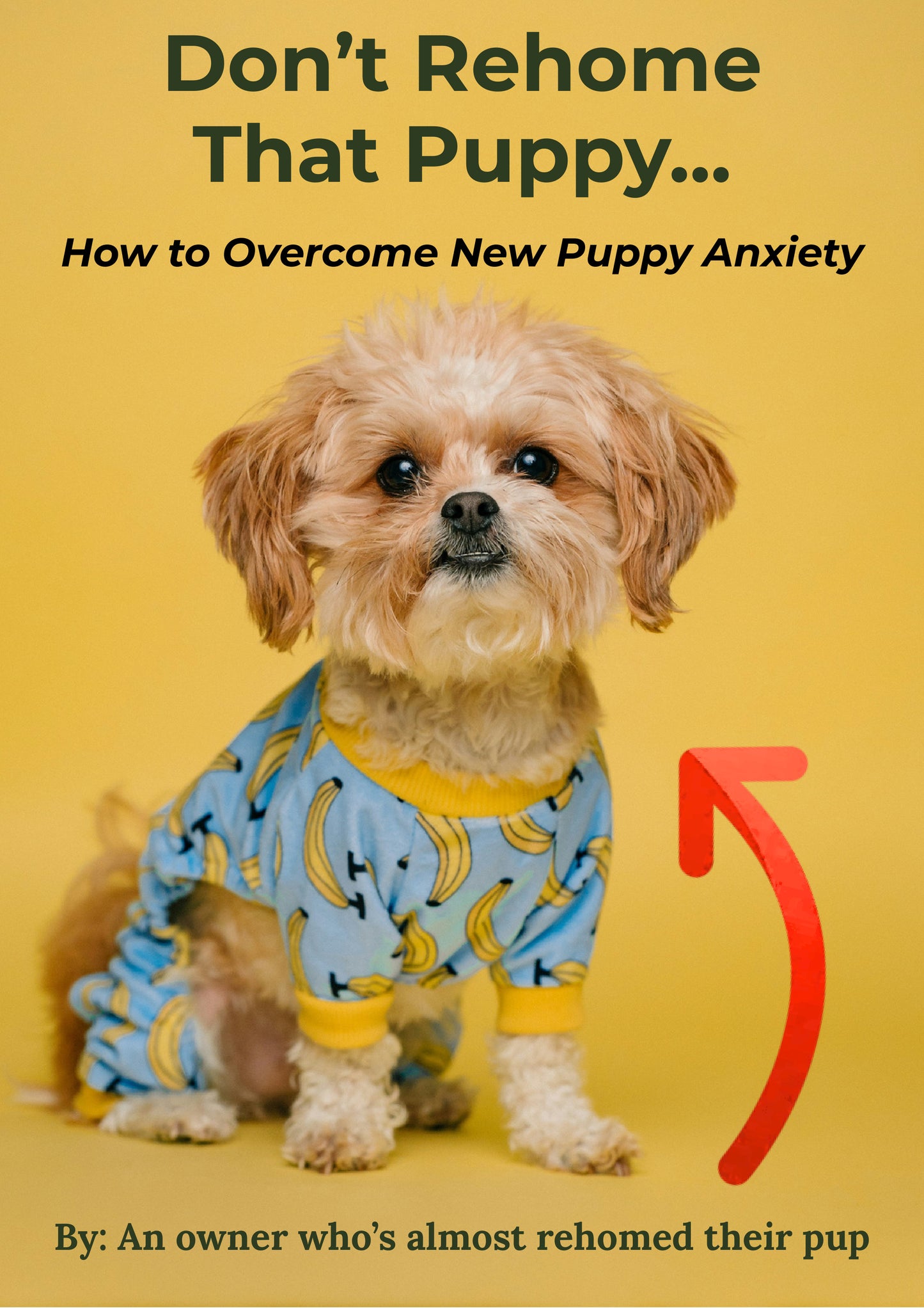 How To Overcome New Puppy Anxiety