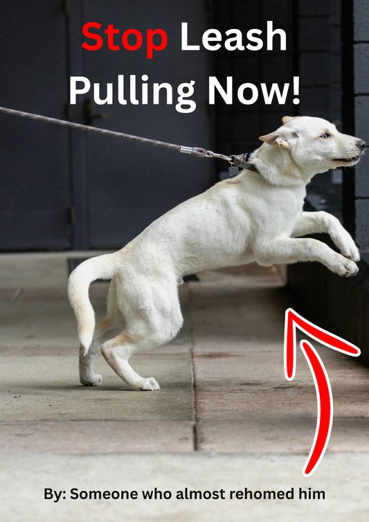 Stop Leash Pulling Now!